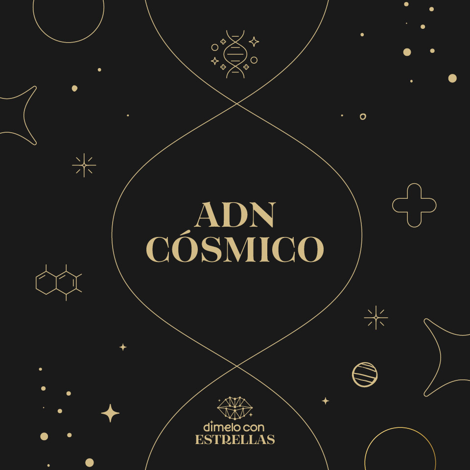 Imagen 3 del proyecto Dímelo con Estrellas