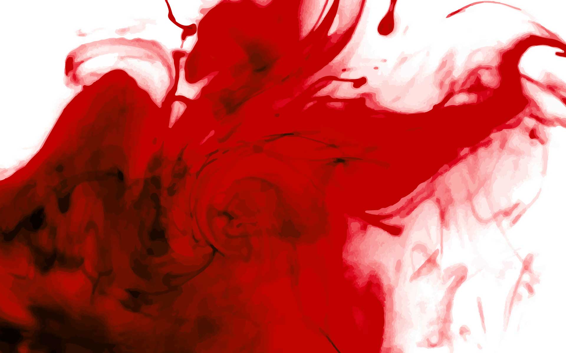 Imagen 2 del proyecto Enartis