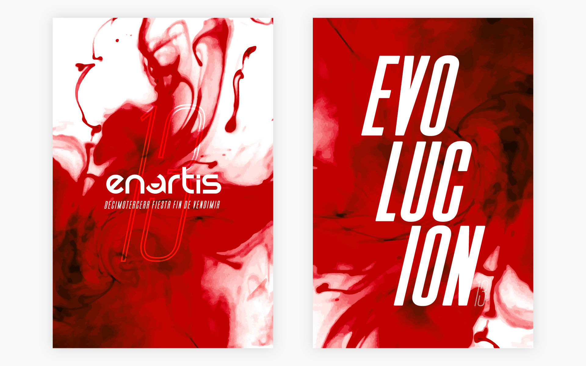 Imagen 4 del proyecto Enartis