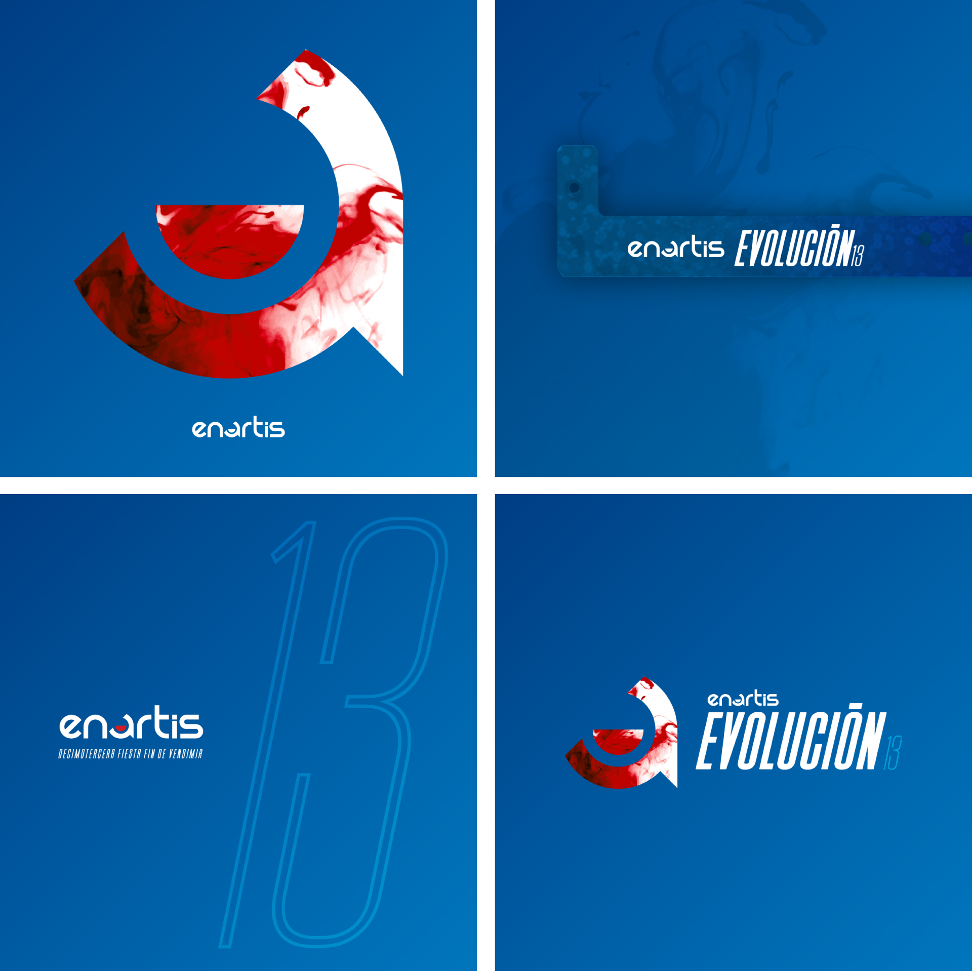 Imagen 5 del proyecto Enartis
