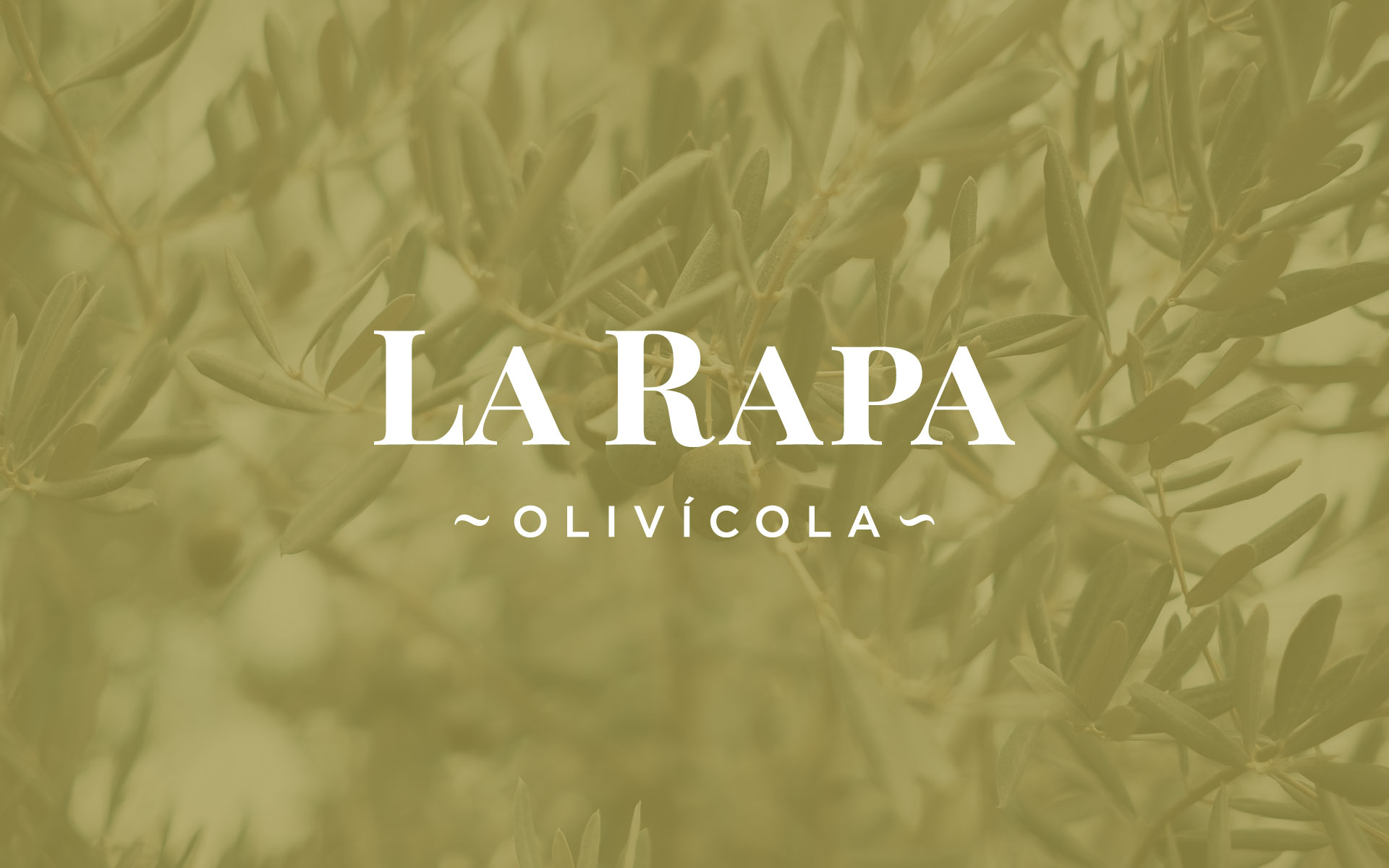 Imagen 5 del proyecto La Rapa
