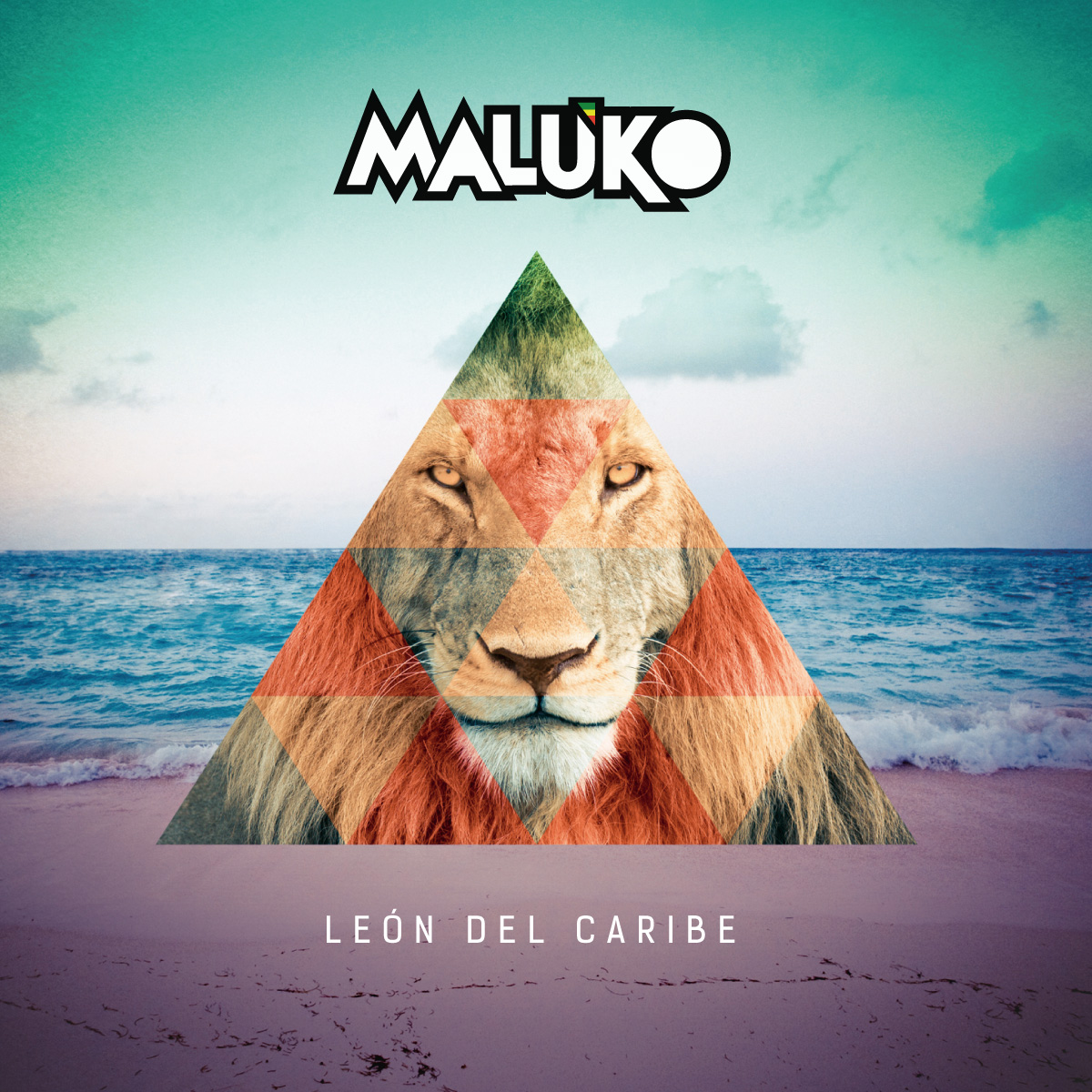 Imagen 1 del proyecto Mati Maluko - León del Caribe
