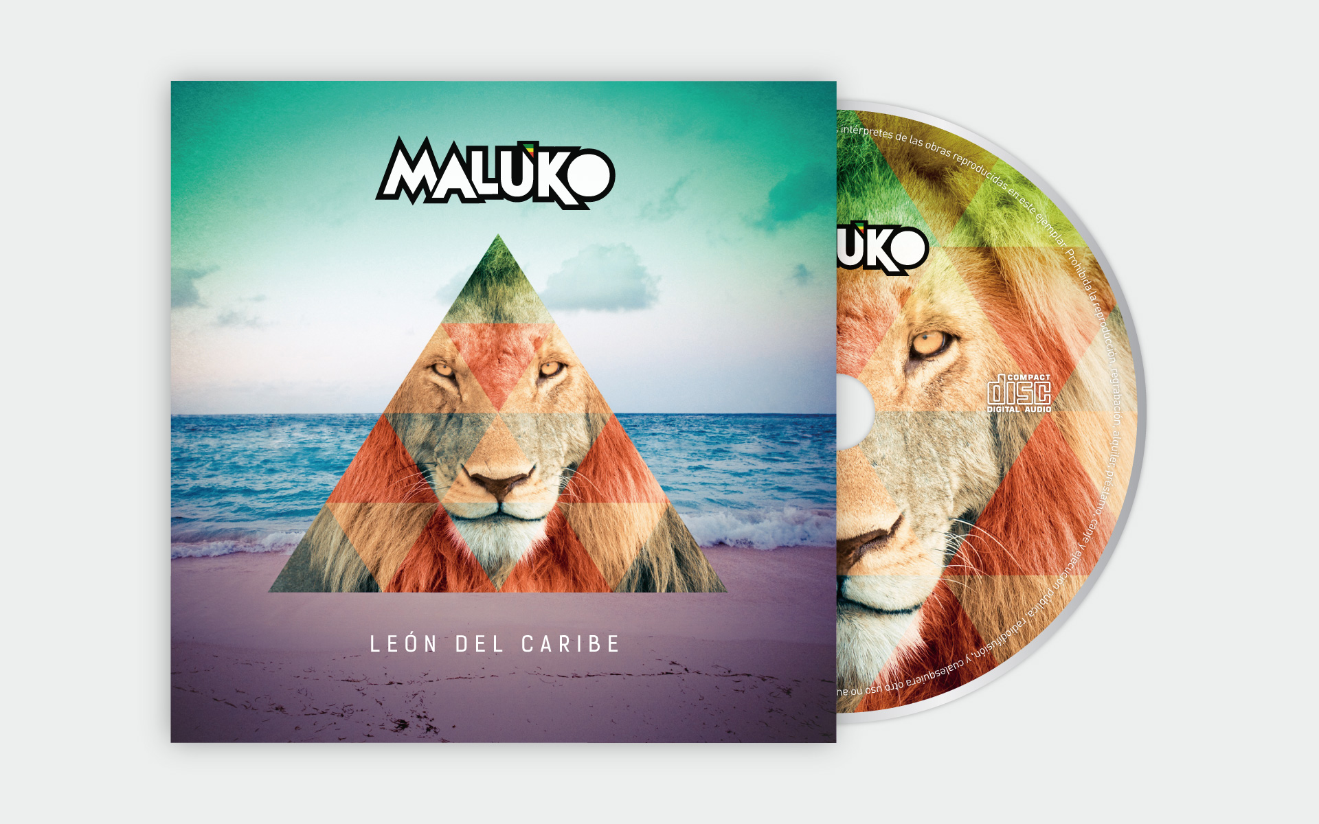 Imagen 4 del proyecto Mati Maluko - León del Caribe